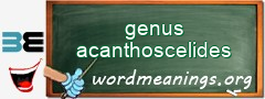 WordMeaning blackboard for genus acanthoscelides